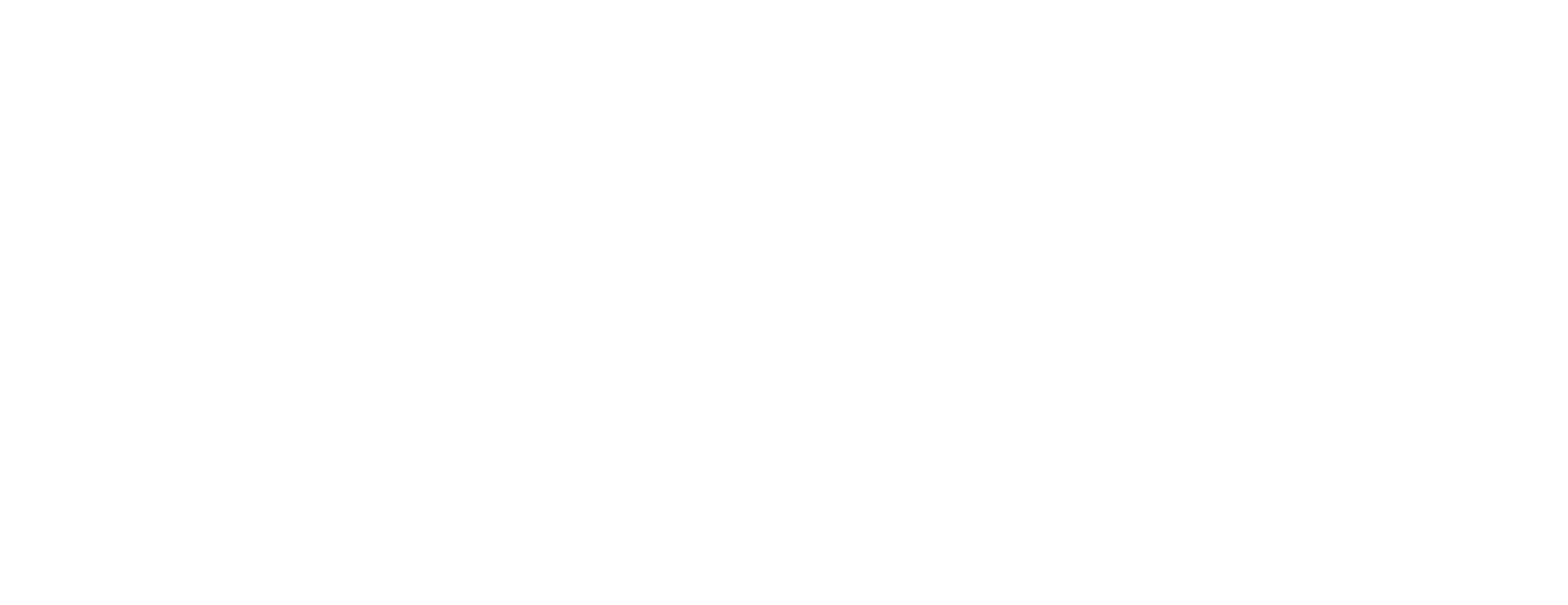 image de fond représentant le logo gris slm