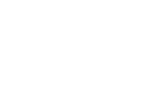 logo slm blanc